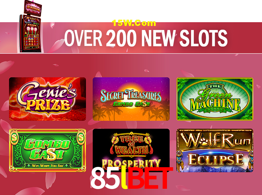 Statistics 85lbet